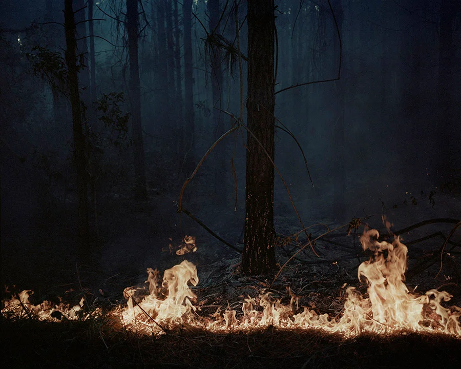 Katrin Koenning · Indefinitely