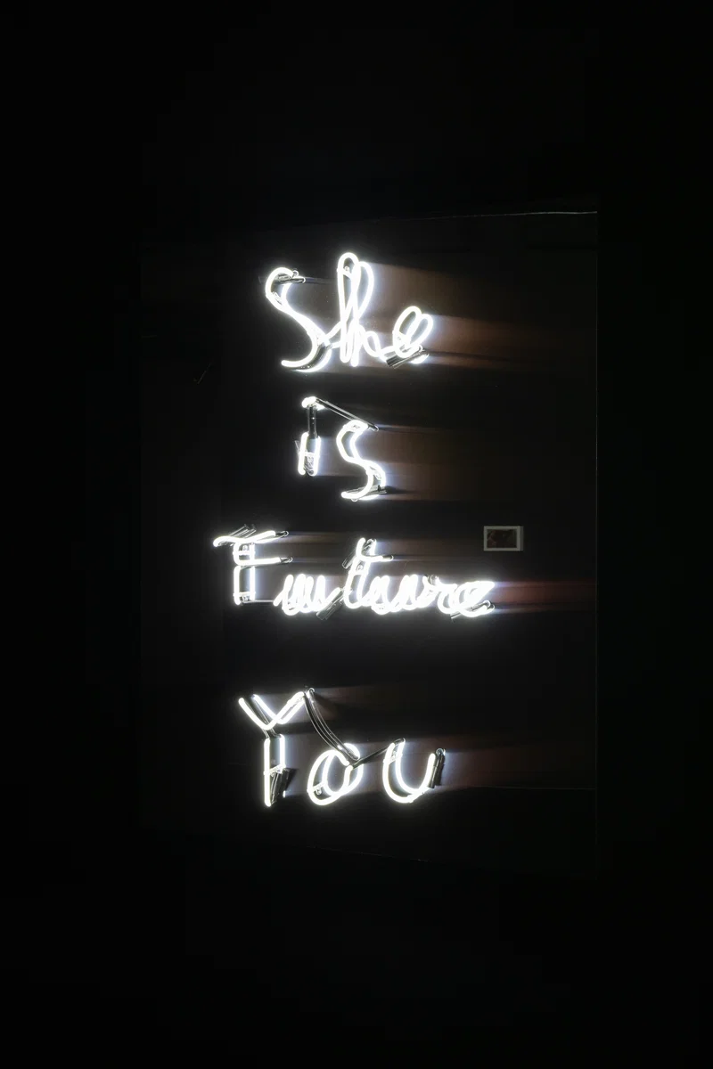 Šejla Kamerić — EX YOU