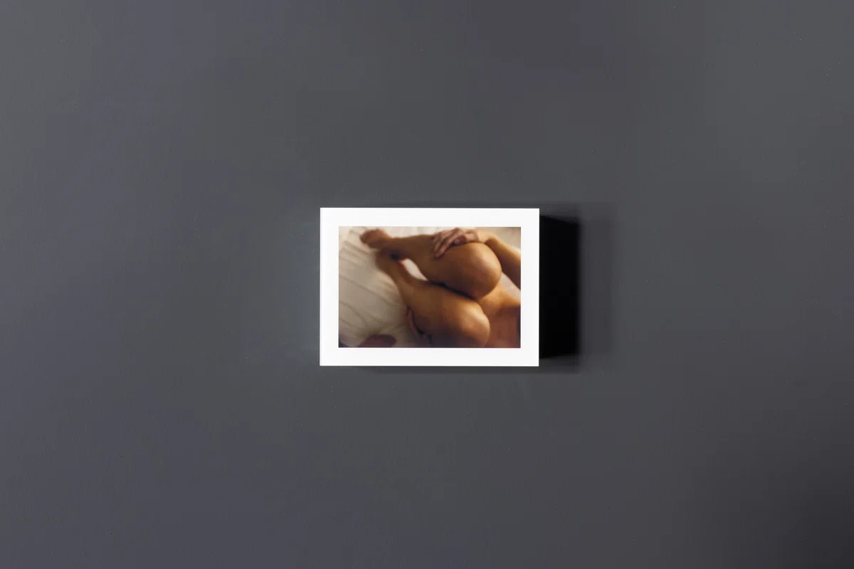 Šejla Kamerić — EX YOU