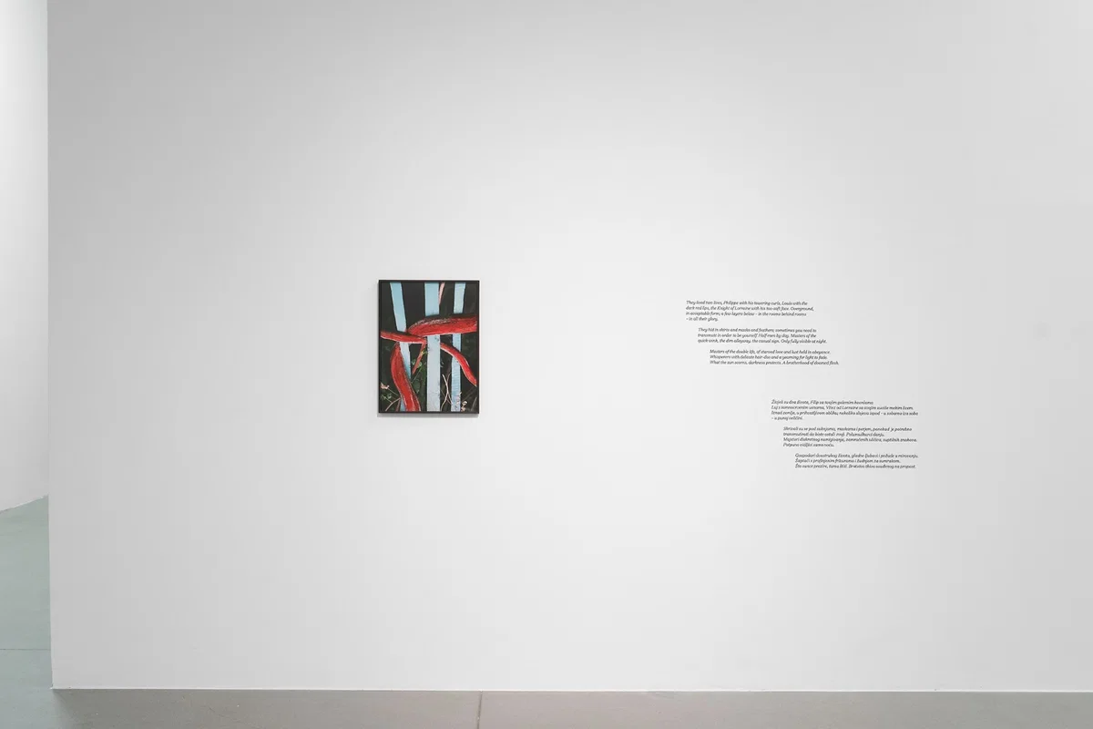 Viviane Sassen — Venus & Mercury